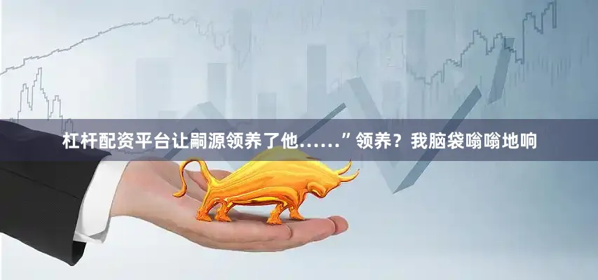 杠杆配资平台让嗣源领养了他……”领养？我脑袋嗡嗡地响