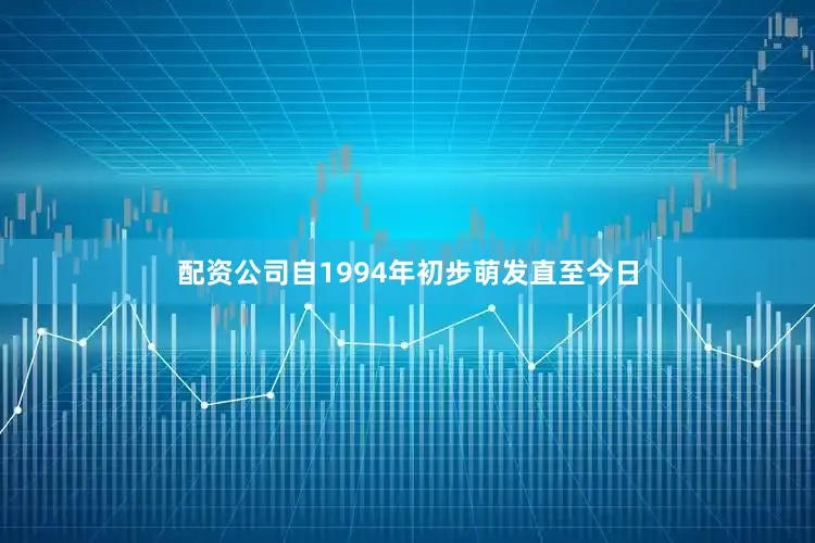 配资公司自1994年初步萌发直至今日