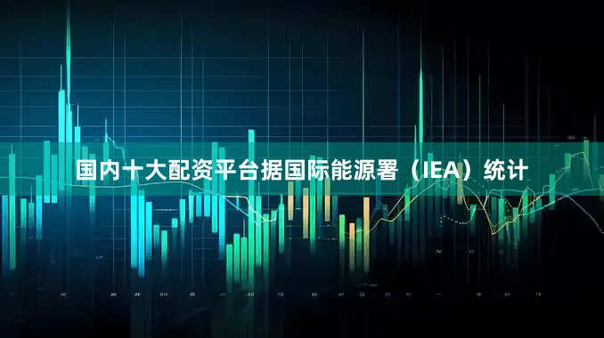 国内十大配资平台据国际能源署（IEA）统计